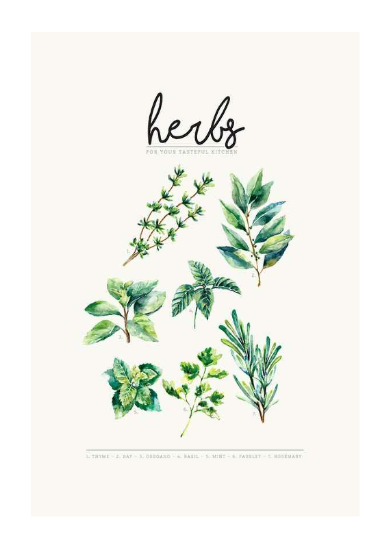Herbs-1