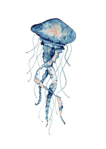 Blue Jellyfish-1