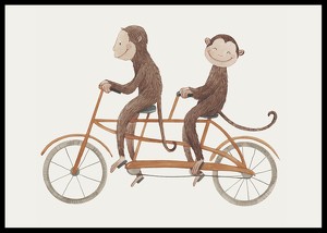 Monkey Bicycle-2