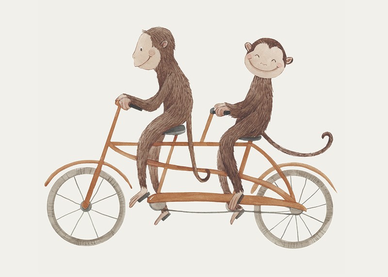 Monkey Bicycle-3