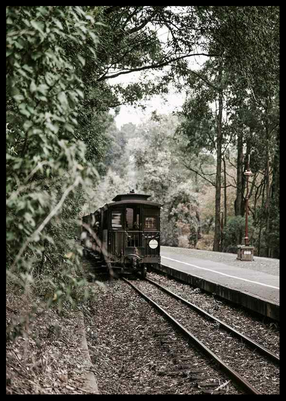 Train By Railroad-2