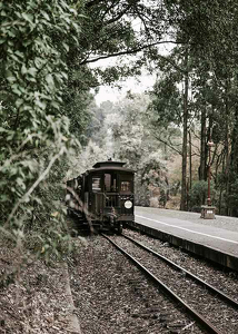 Train By Railroad-3