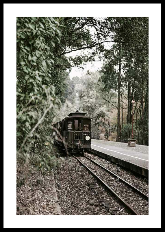 Train By Railroad-0