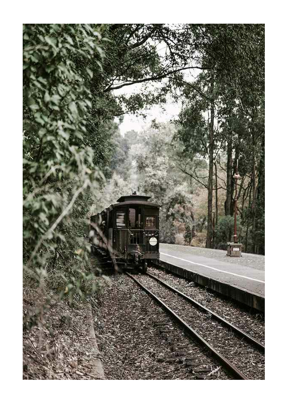 Train By Railroad-1