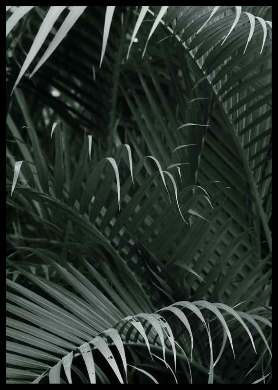Palm Leaf No1-2