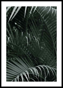 Palm Leaf No1-0