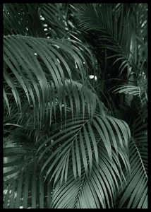 Palm Leaf No2-2