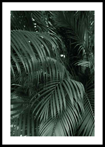 Palm Leaf No2-0