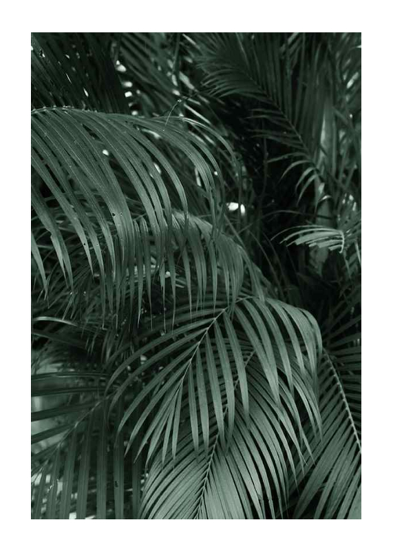 Palm Leaf No2-1