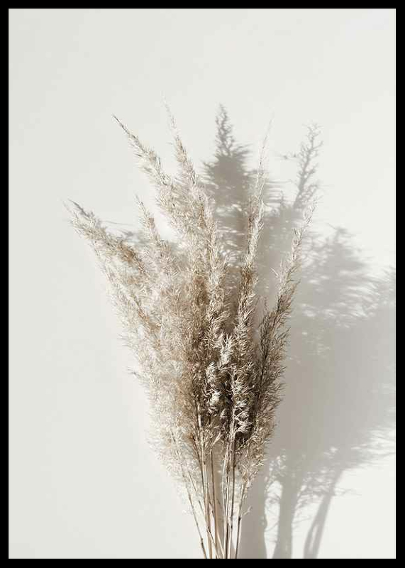 Dry Reeds No1-2