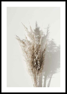 Dry Reeds No1-0
