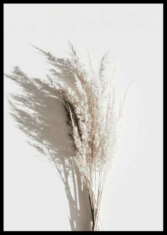 Dry Reeds No3-2