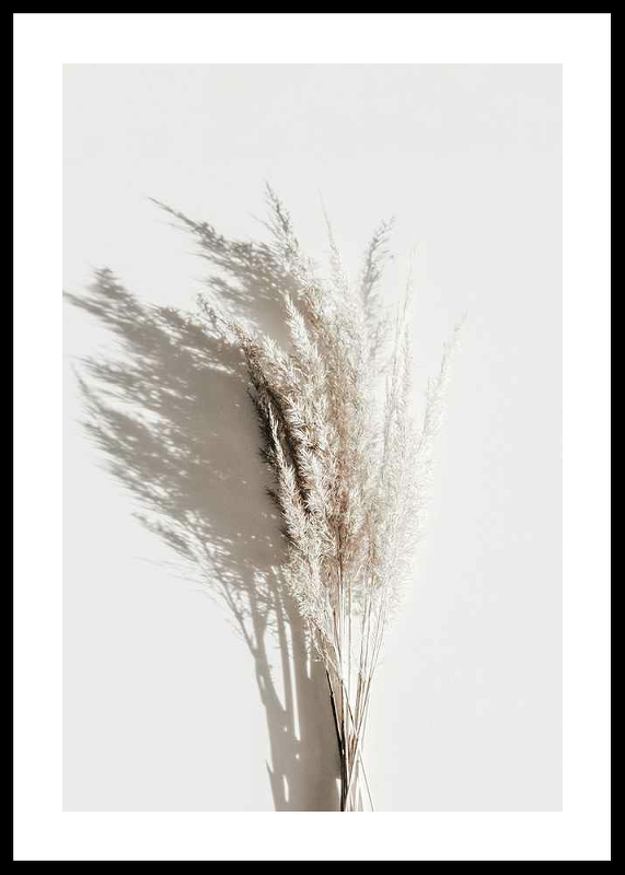Dry Reeds No3-0