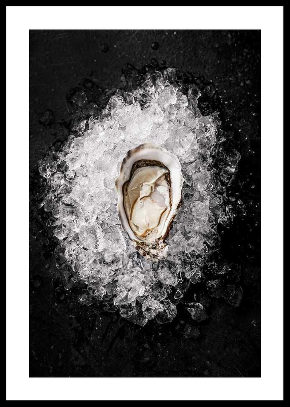 Oyster On Ice-0