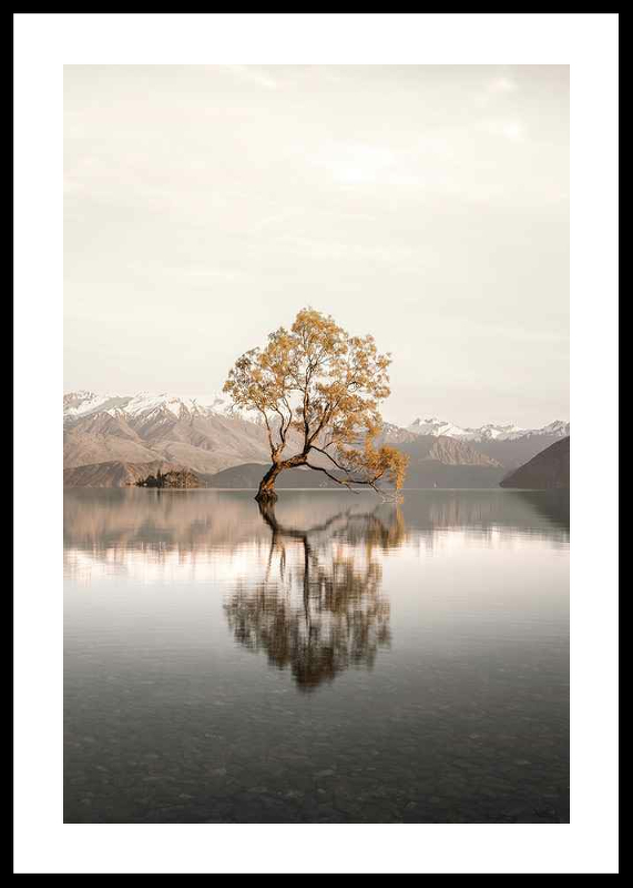The Lonely Tree-0