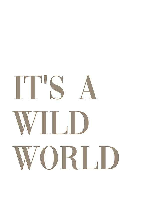 Wild World-1