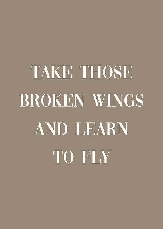 Broken Wings-3