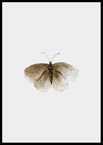 Watercolor Butterfly-2