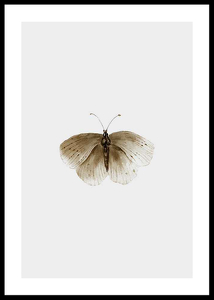 Watercolor Butterfly-0