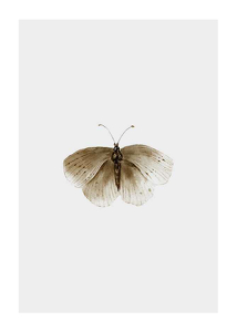 Watercolor Butterfly-1