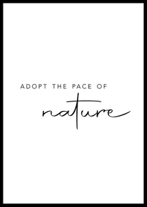Pace Of Nature-0