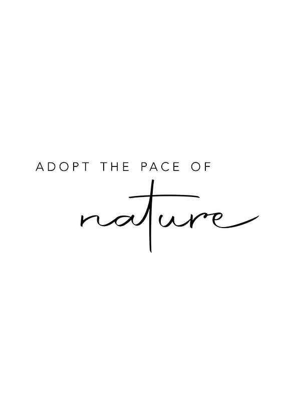 Pace Of Nature-1