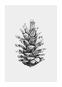 Sketched Spruce Cone-1