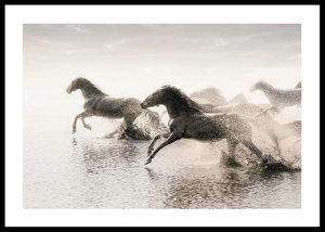 Wild Horses Running-0