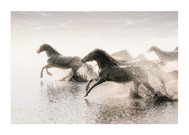 Wild Horses Running-1