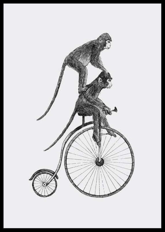 Monkeys On A Bike-2