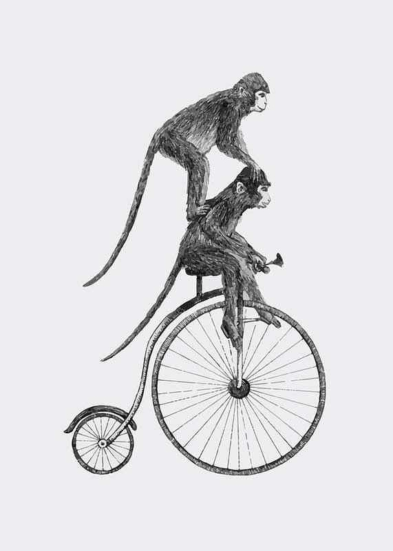 Monkeys On A Bike-3