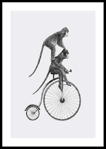 Monkeys On A Bike-0