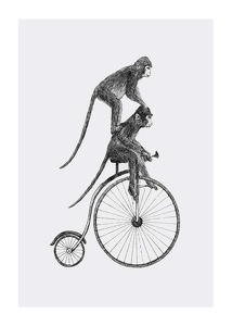 Monkeys On A Bike-1