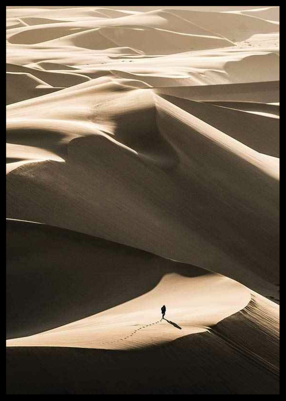 Walking In Desert-2