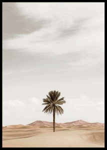 Palm Tree In Desert-2
