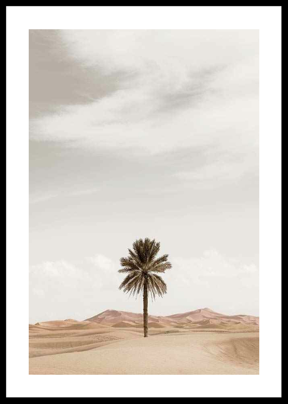Palm Tree In Desert-0