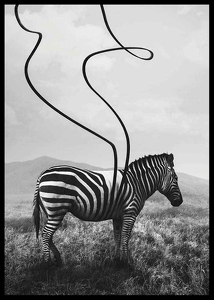 Abstract Zebra-2