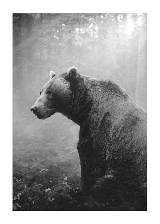 Poster Grizzly Bear