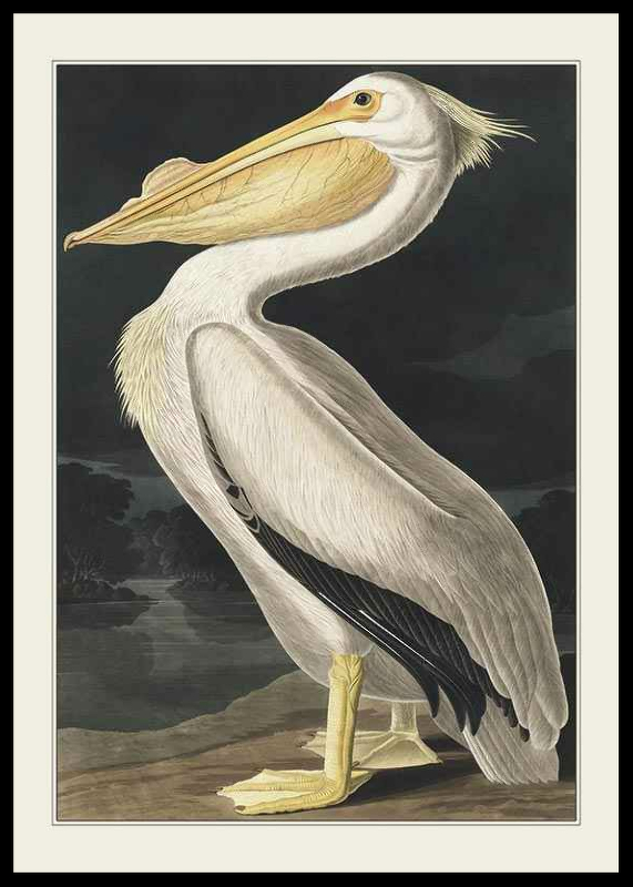 Pelican 1827-0