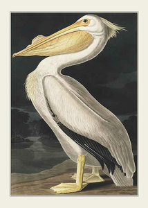 Pelican 1827-1