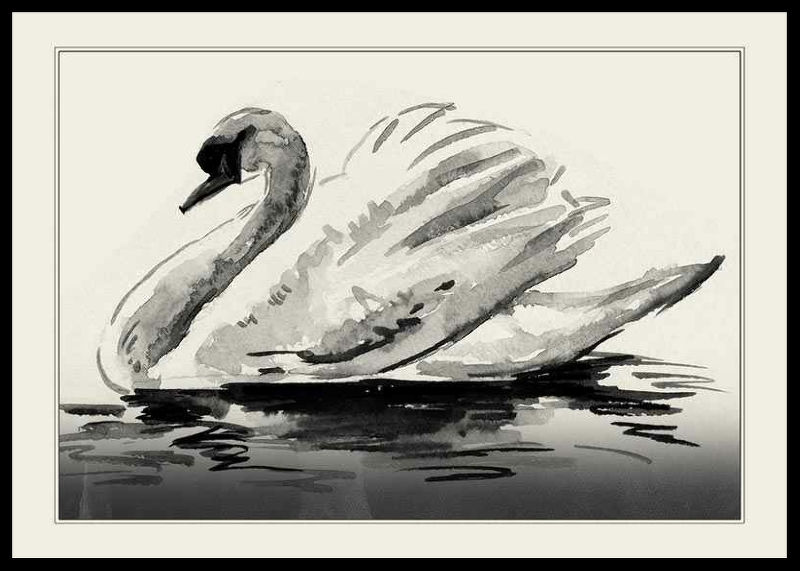 The Swan-0