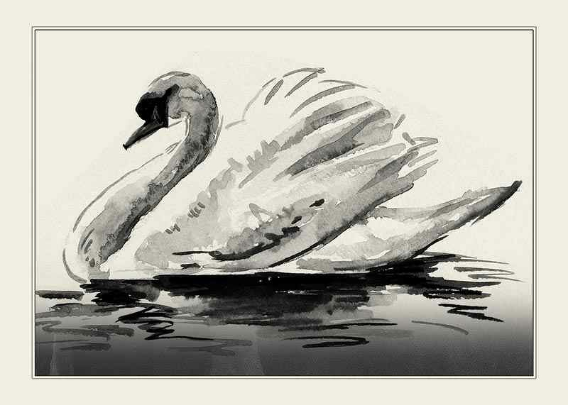 The Swan-1