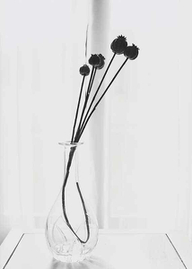 Poppies In A Vase-3