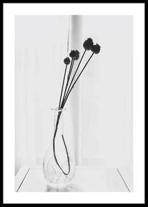 Poppies In A Vase-0
