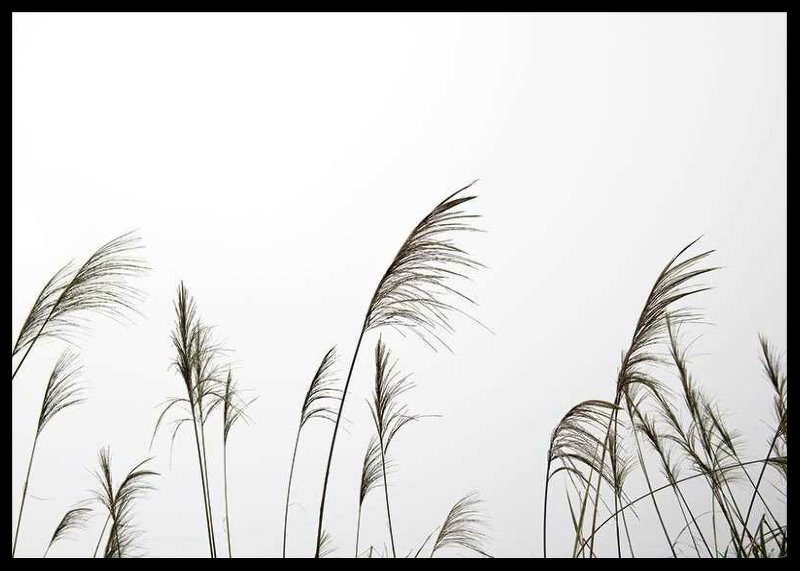 Reed Flowers-2