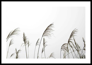 Reed Flowers-0