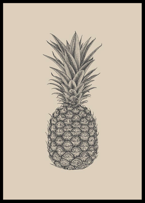 Pineapple Sketch-2