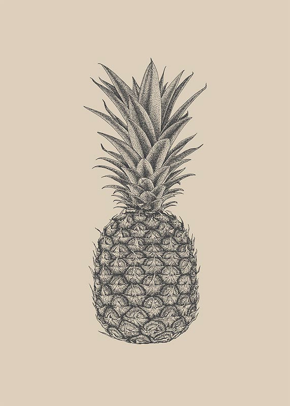 Pineapple Sketch-3