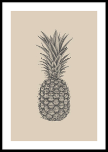 Pineapple Sketch-0