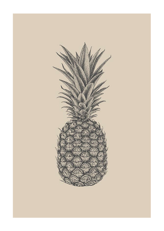 Poster Pineapple Sketch